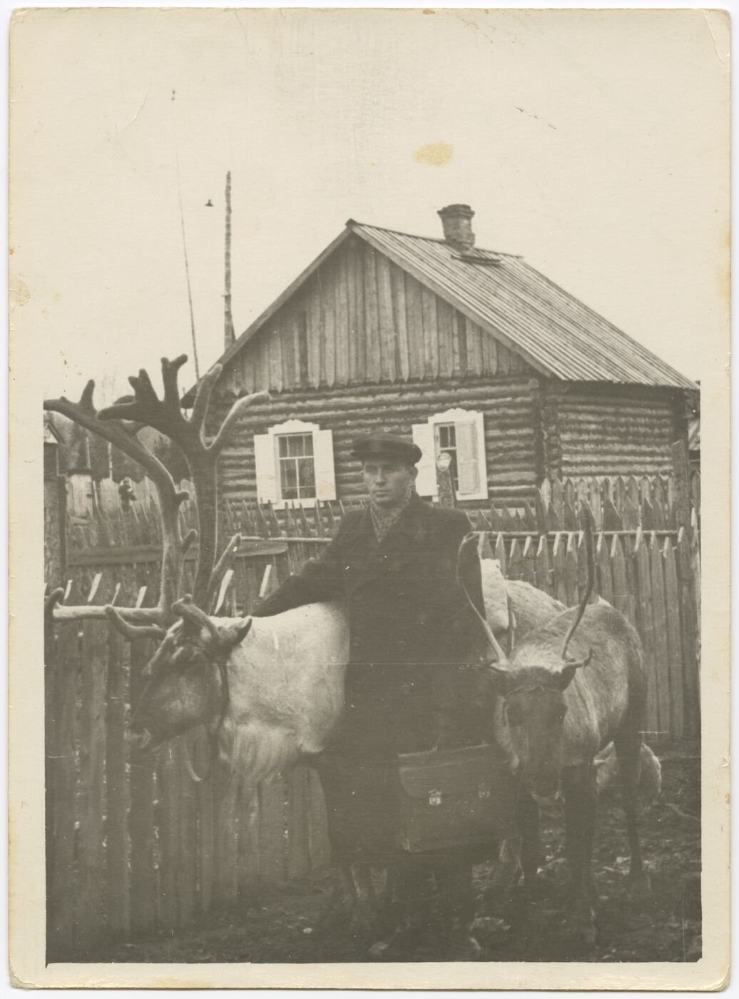 Nežinomas autorius, Tremtinys J. Stanikas