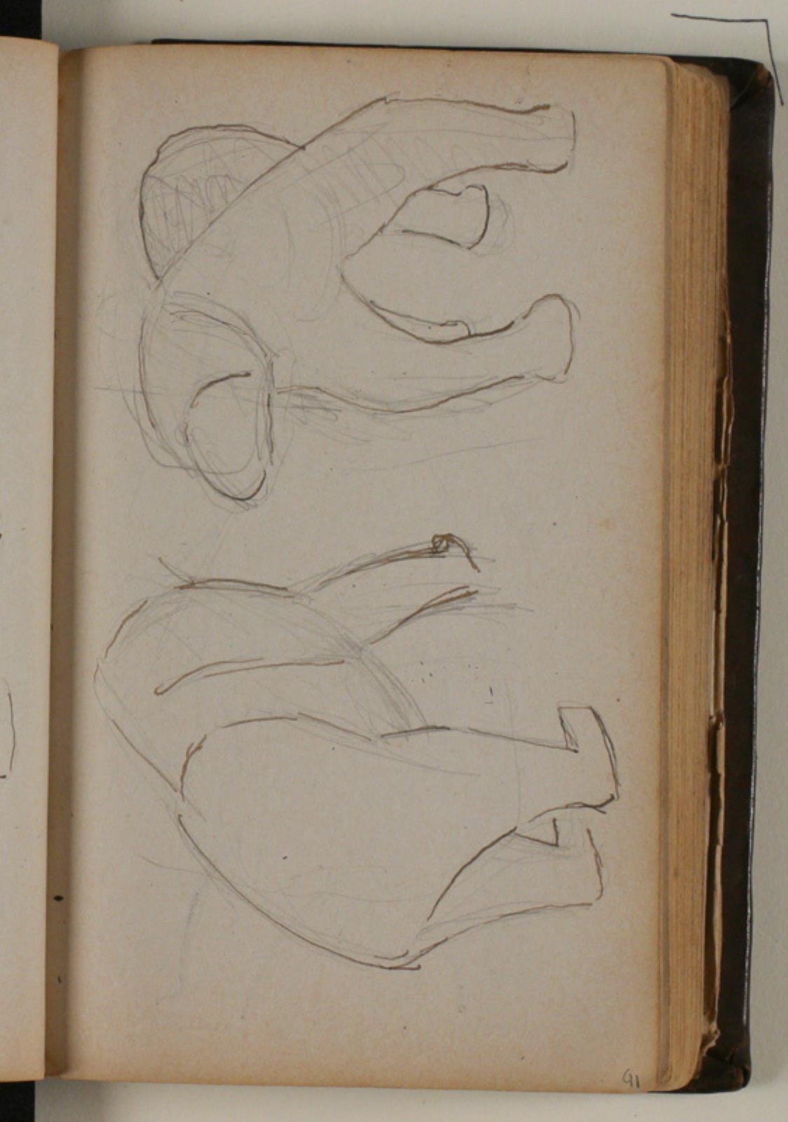 Niels Larsen Stevns, Studie af isbjørne