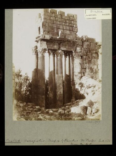 anonymous, Photograph