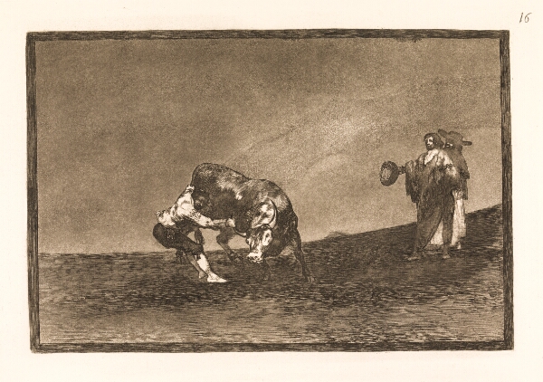 Francisco de Goya, Den samme mand trækker en tyr omkuld i arenaen i Madrid