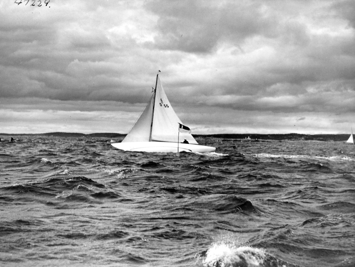 Anders Beer Wilse, Seilsport