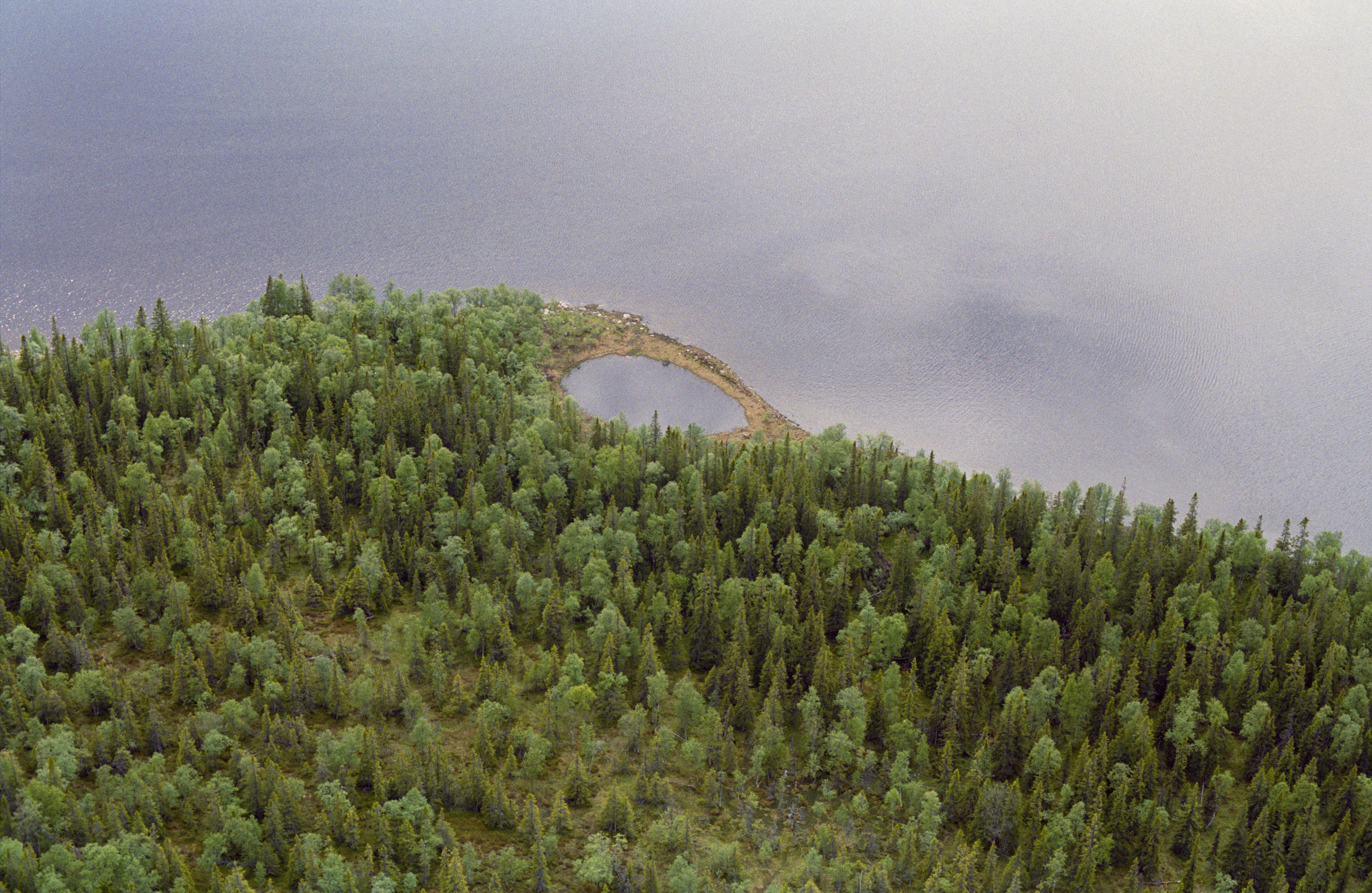 Jan Norrman, Åre 328:1