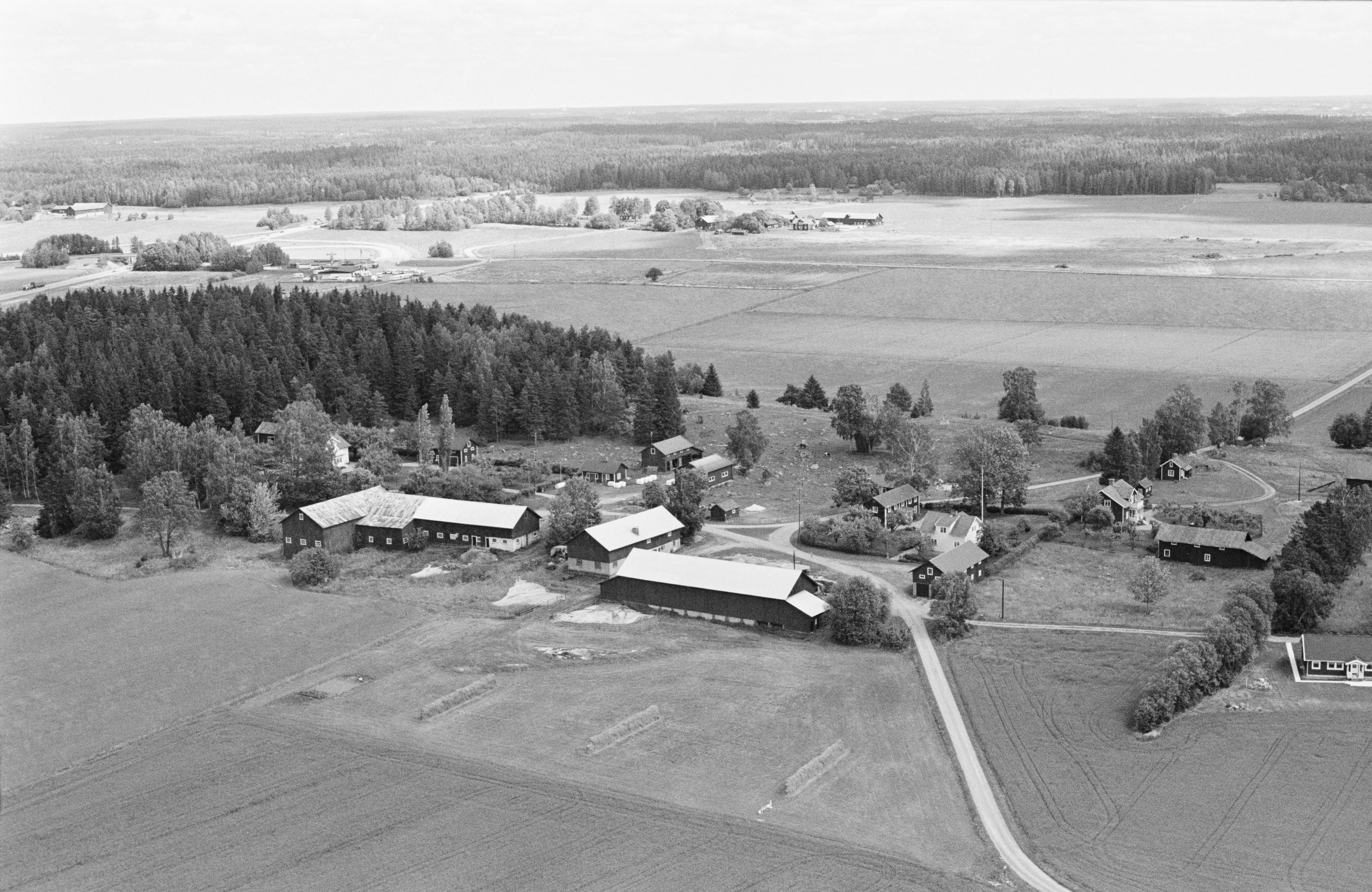 Jan Norrman, Munktorp 132:1