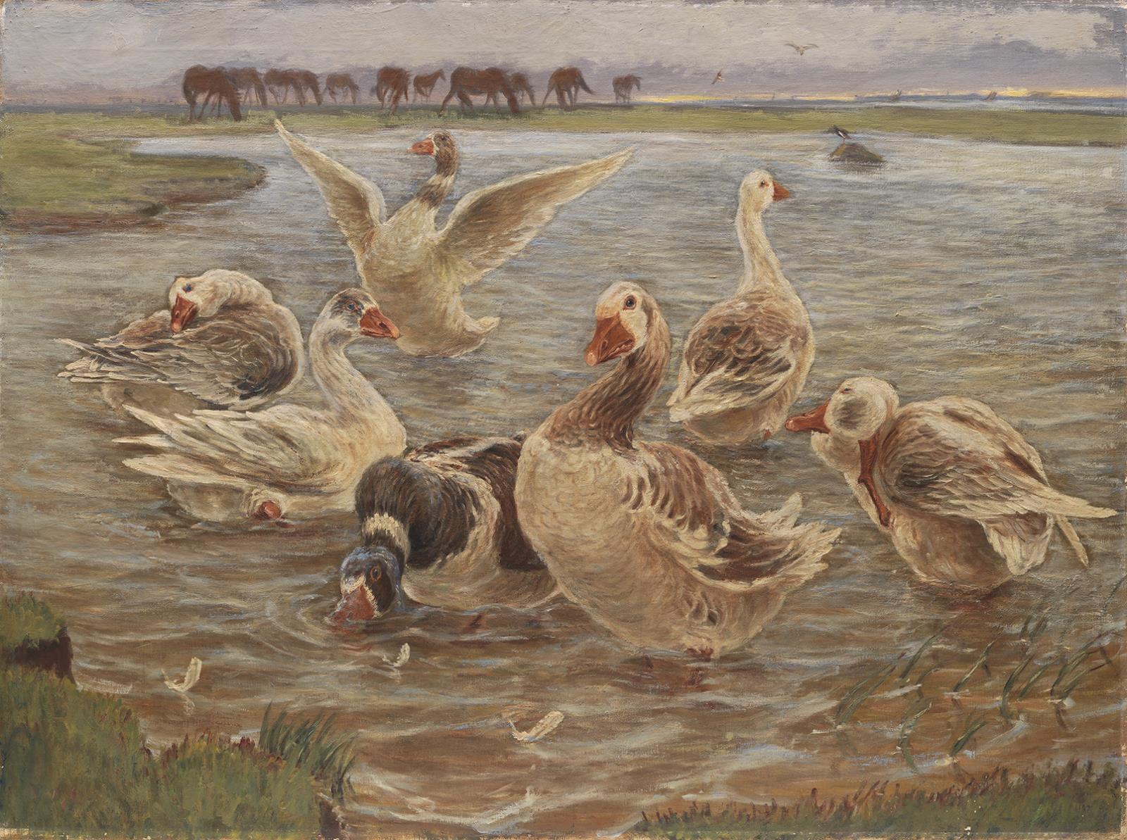 Theodor Philipsen, Gæs. Saltholm