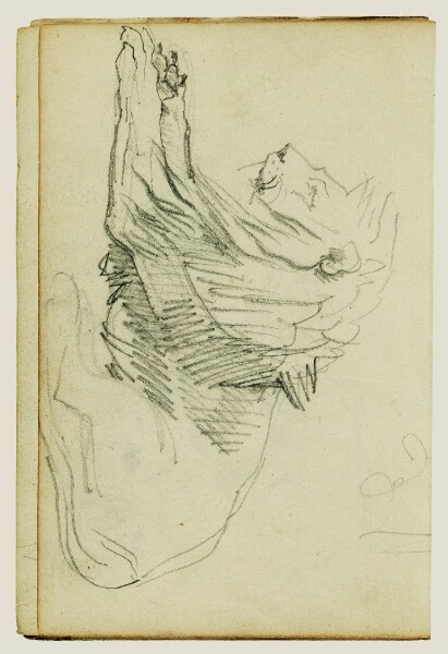 Théodore Géricault, Seated lion
