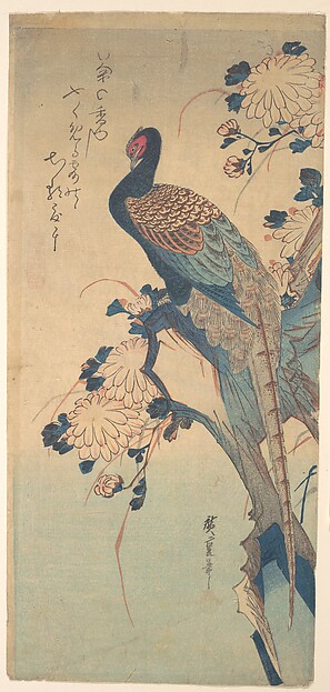 Utagawa Hiroshige, Pheasant with Chrysanthemums