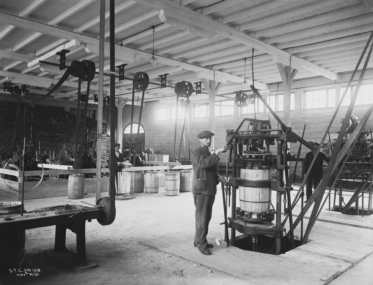 Anders Beer Wilse, Prot: Dalen Portland Cement, Brevik