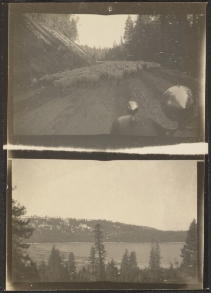 Louis Fleckenstein, [Double Frame - Landscapes]