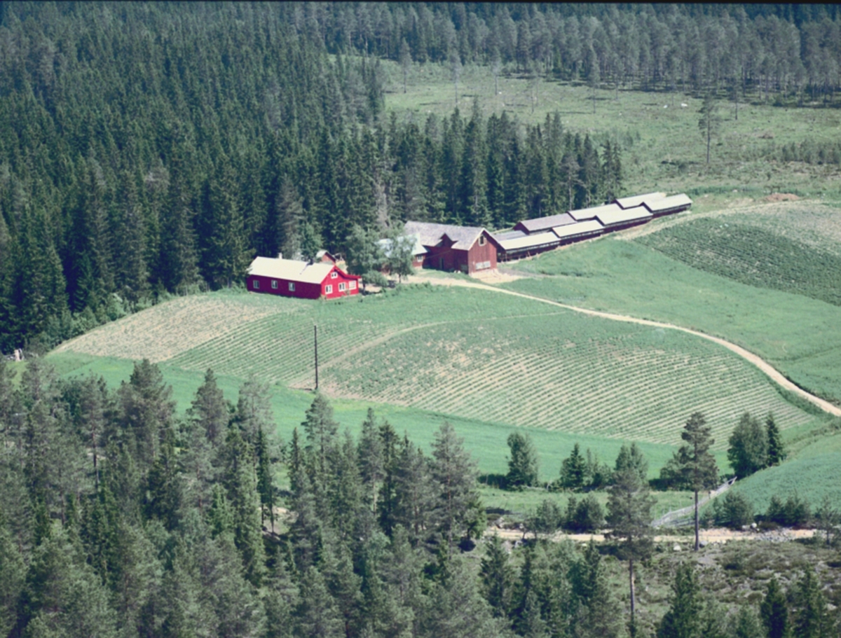Widerøes Flyveselskap A/S, Flyfoto, Nordbygda, Løten. Svestad (Gnr 0415-94/2). Svartbekkvegen 180. Pelsdyrfarm.