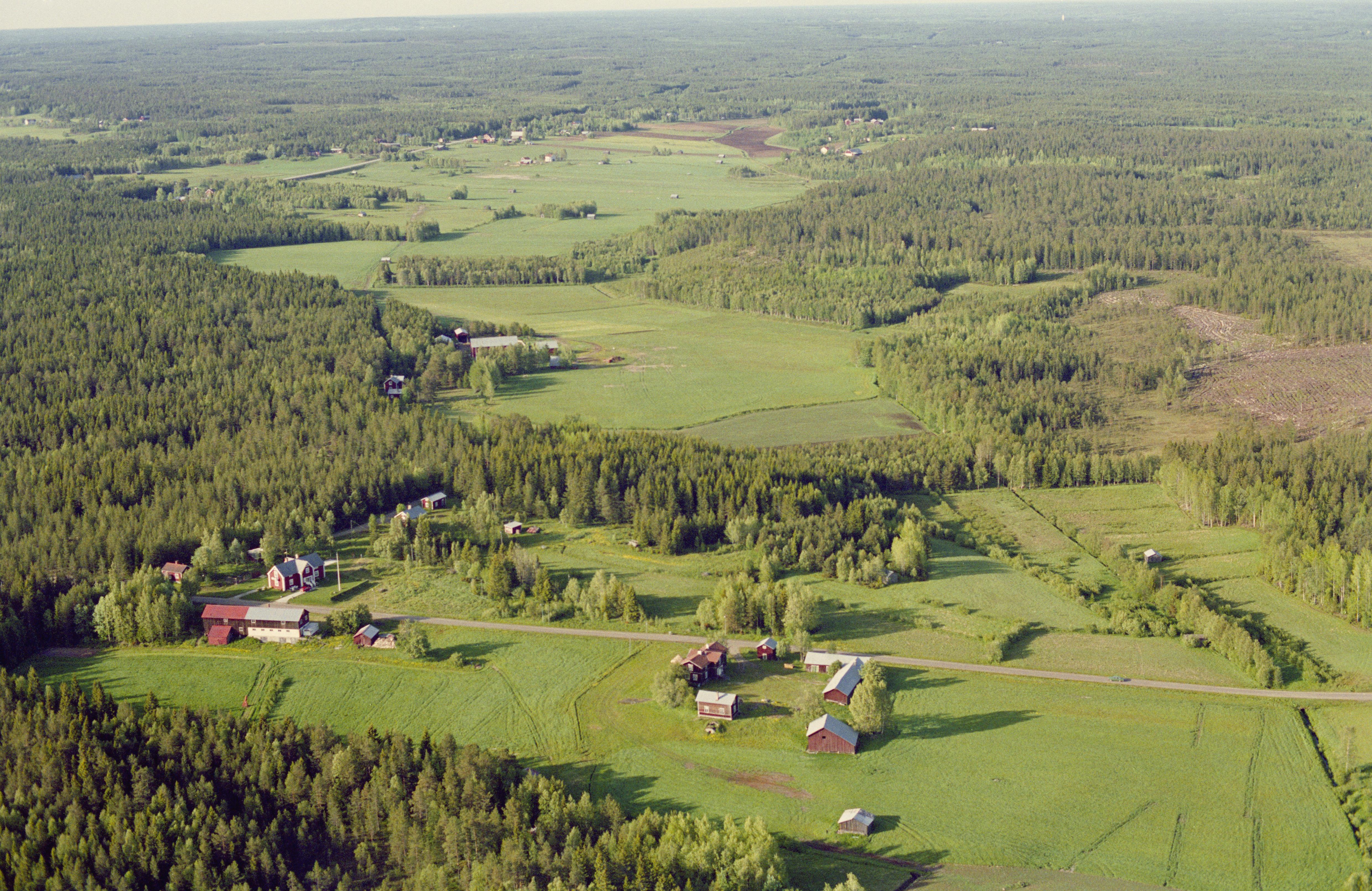 Jan Norrman, Nysätra 250:1