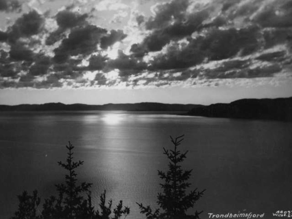 Anders Beer Wilse, Trondheimsfjorden 1936