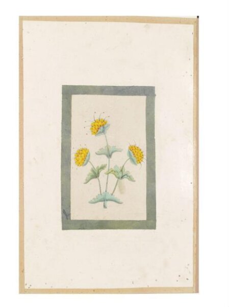 Unknown, Painting