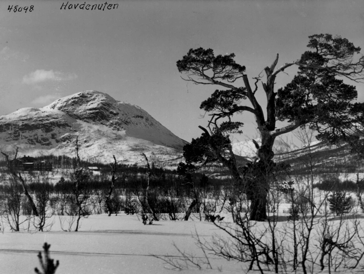 Anders Beer Wilse, Landskap, vinter, sno, Hovdenuten, Hovden.