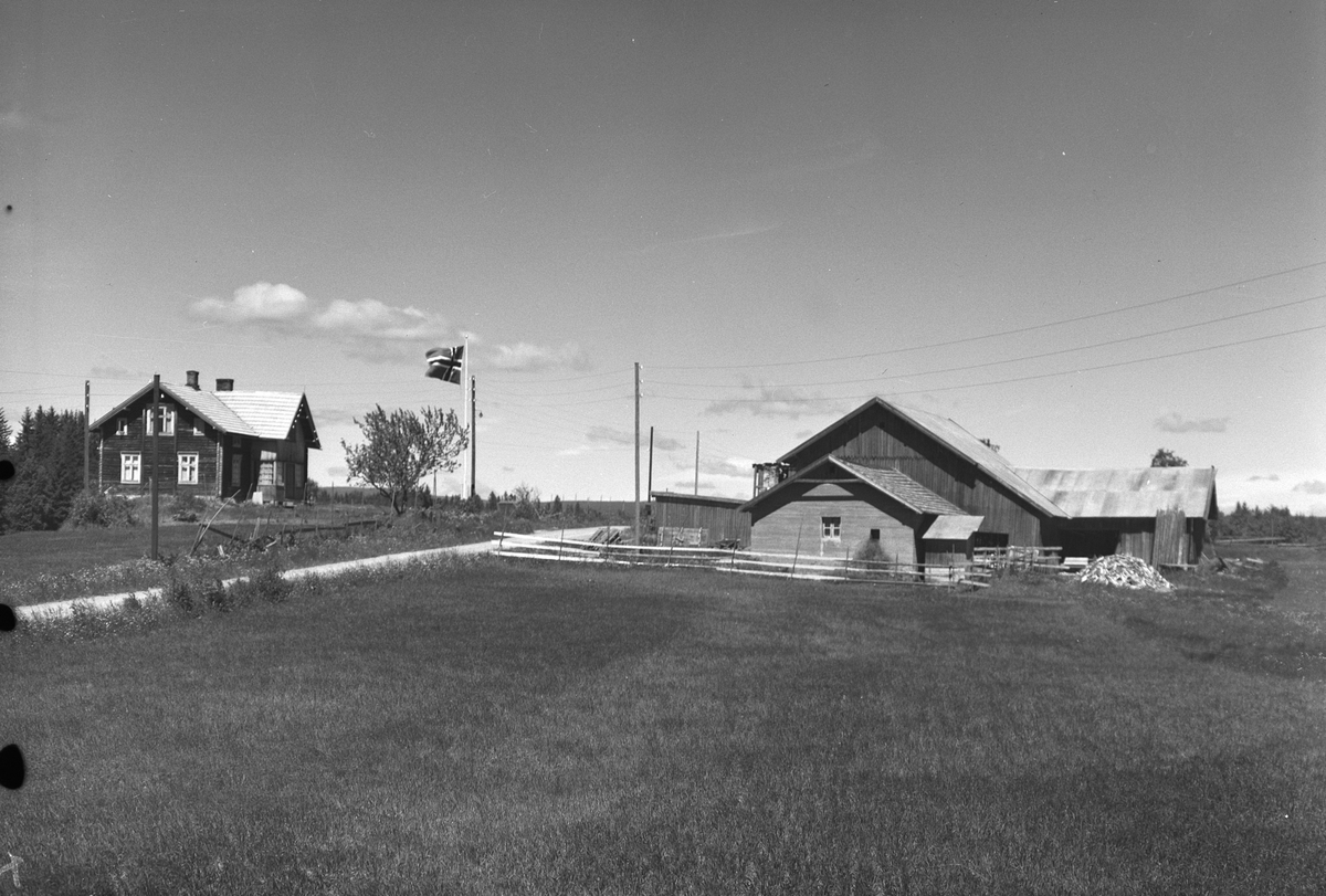 Anno Domkirkeodden, EKSTR: GARDSTUN, NORDLI. Se Løtenboka, bind 2. Bygdeboka fra 1953, side 634
