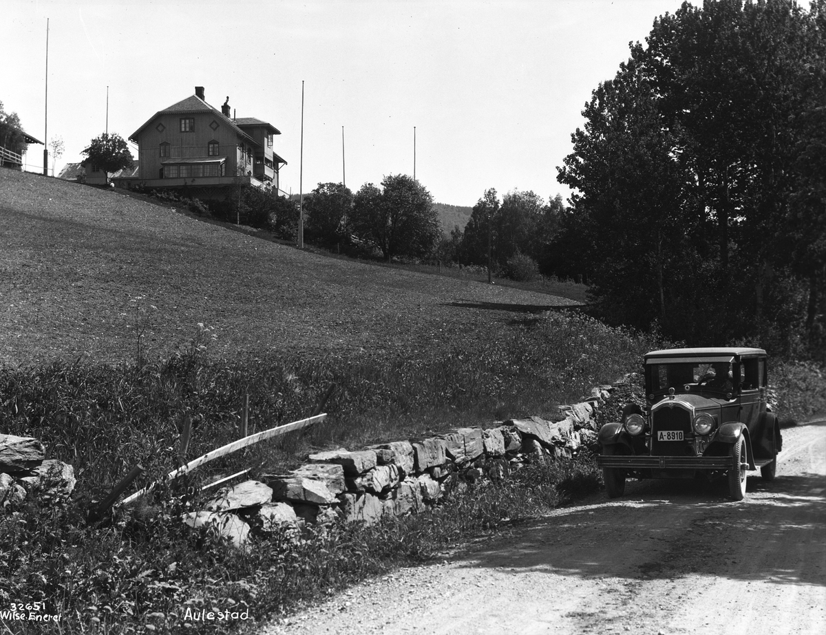 Anders Beer Wilse, Prot: Gausdal - Aulestad