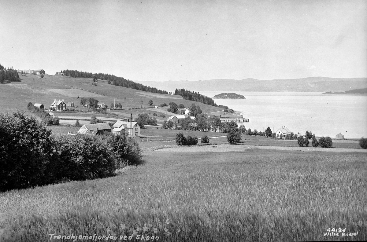 Anders Beer Wilse, Prot: Skogn Trondhjemsfjorden