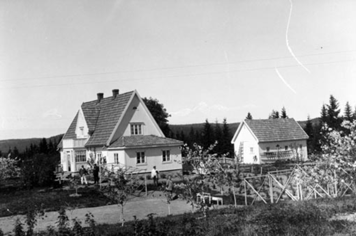 Anno Domkirkeodden, Eksteriør, Johnsgård, Nes, Hedmark.