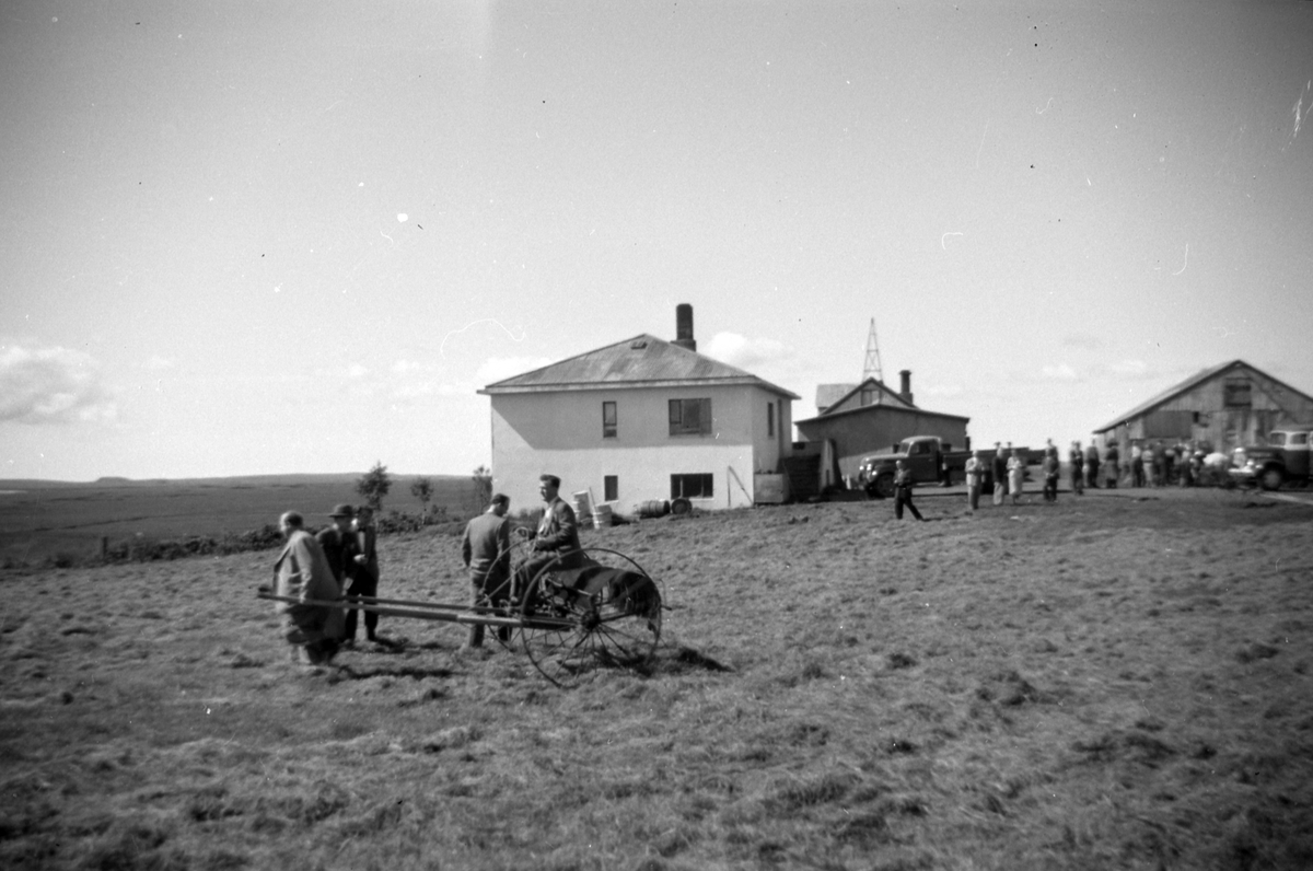 Adolf Skjegstad, ASK-04633