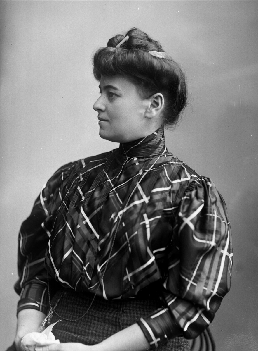 Gustav Borgen, NFB.01411