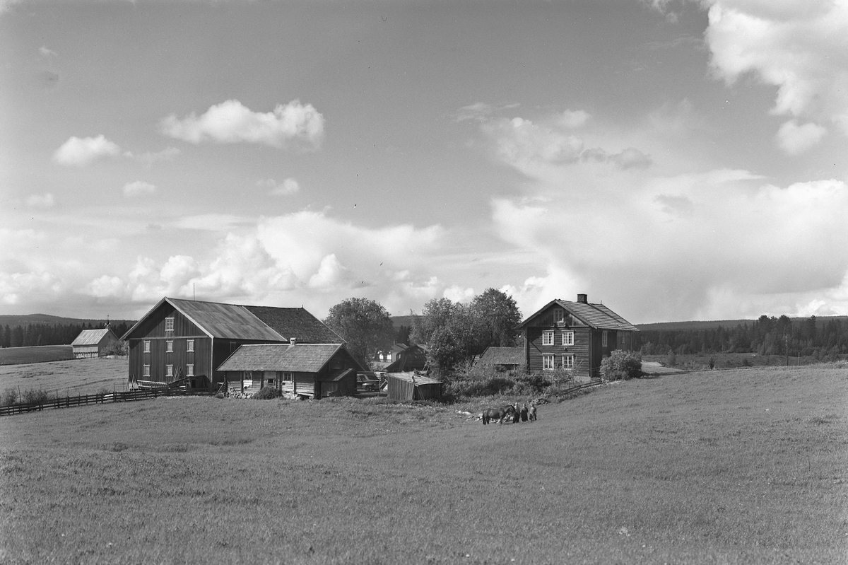 Anno Domkirkeodden, EKSTR: GARDSTUN, LANGSET VESTRE, HEST, FOLK. Se Løtenboka, Bygdebok fra 1953 bind 2. side 125