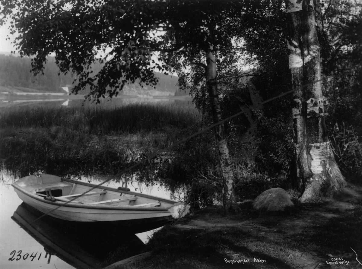 Anders Beer Wilse, Bondivannet
