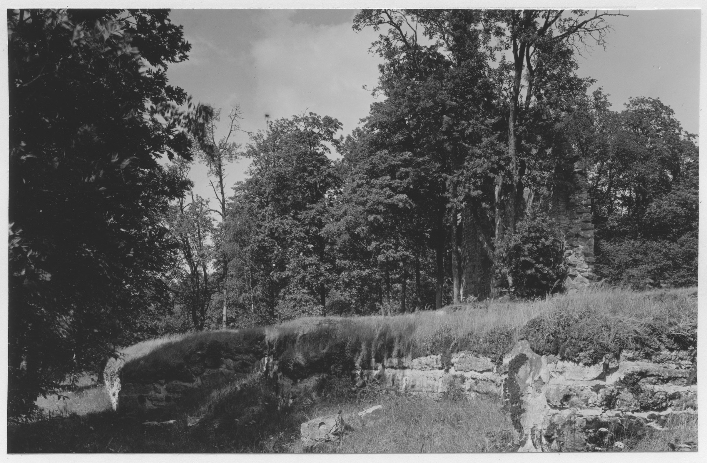 Mårten Sjöbeck, Riseberga klosterruin