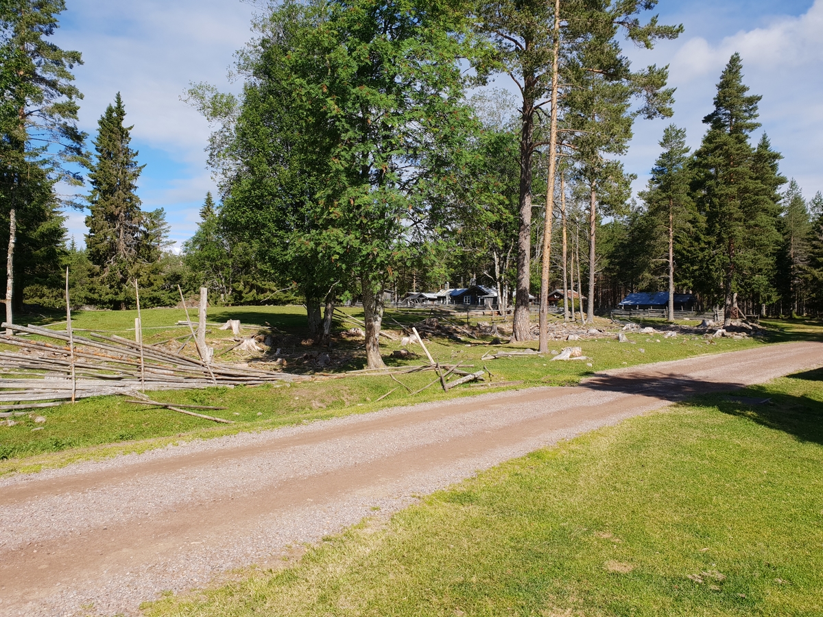 Jennie Tiderman-Österberg, Fäbodmiljö, Östra Grunuberg, Orsa, sommaren 2018.
