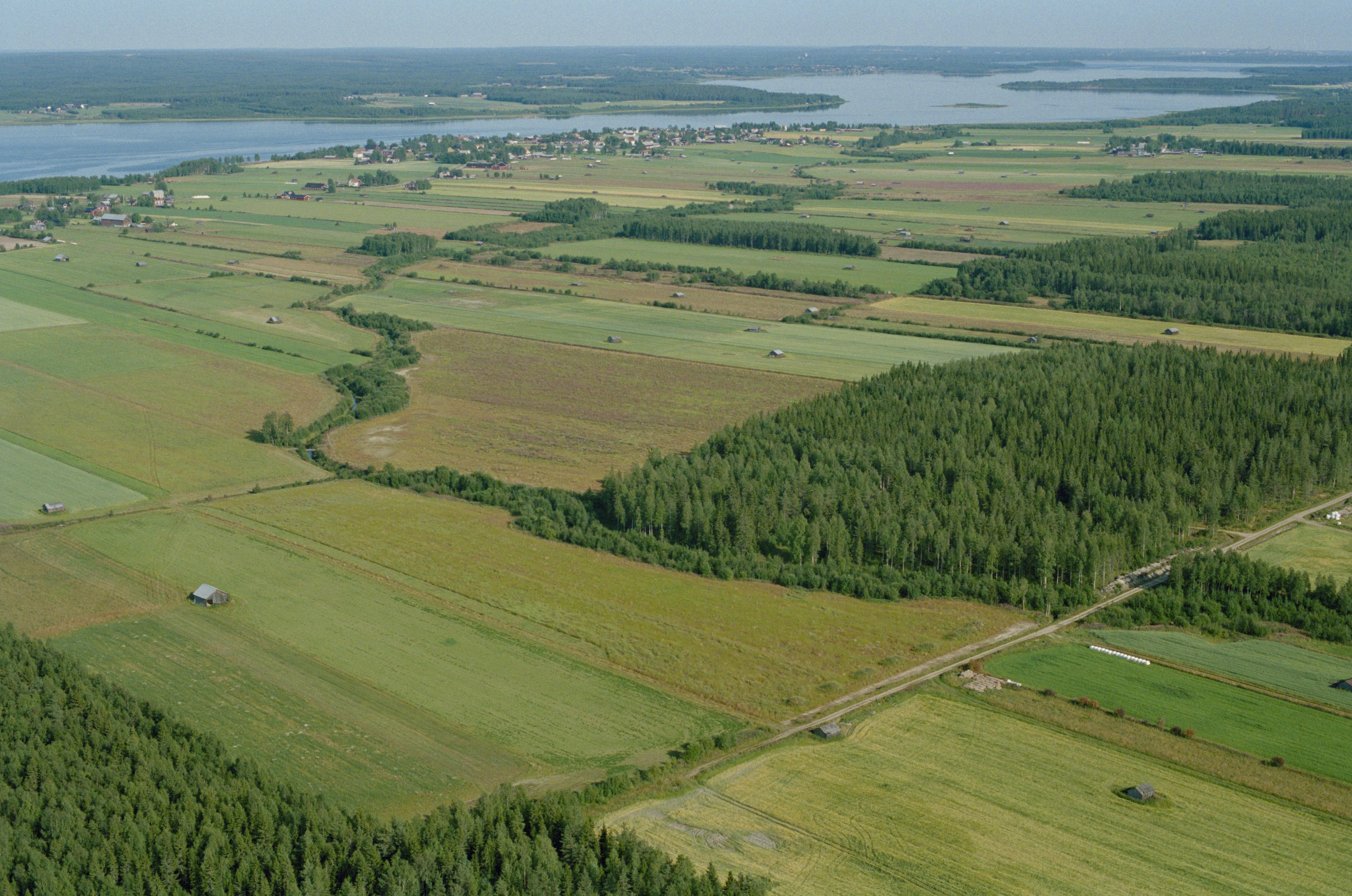 Jan Norrman, Nederluleå 521:1