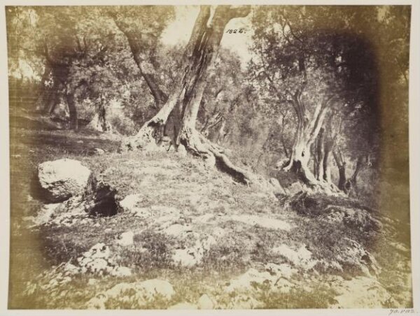 Parker, John Henry, Aqueducts - Tivoli, Specus of the Aqua Marcia, as rebuilt by Trajan, above the road to Carciano, but below the Anio Novus.