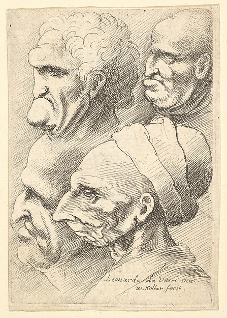Wenceslaus Hollar, Four grotesque heads in profile to left