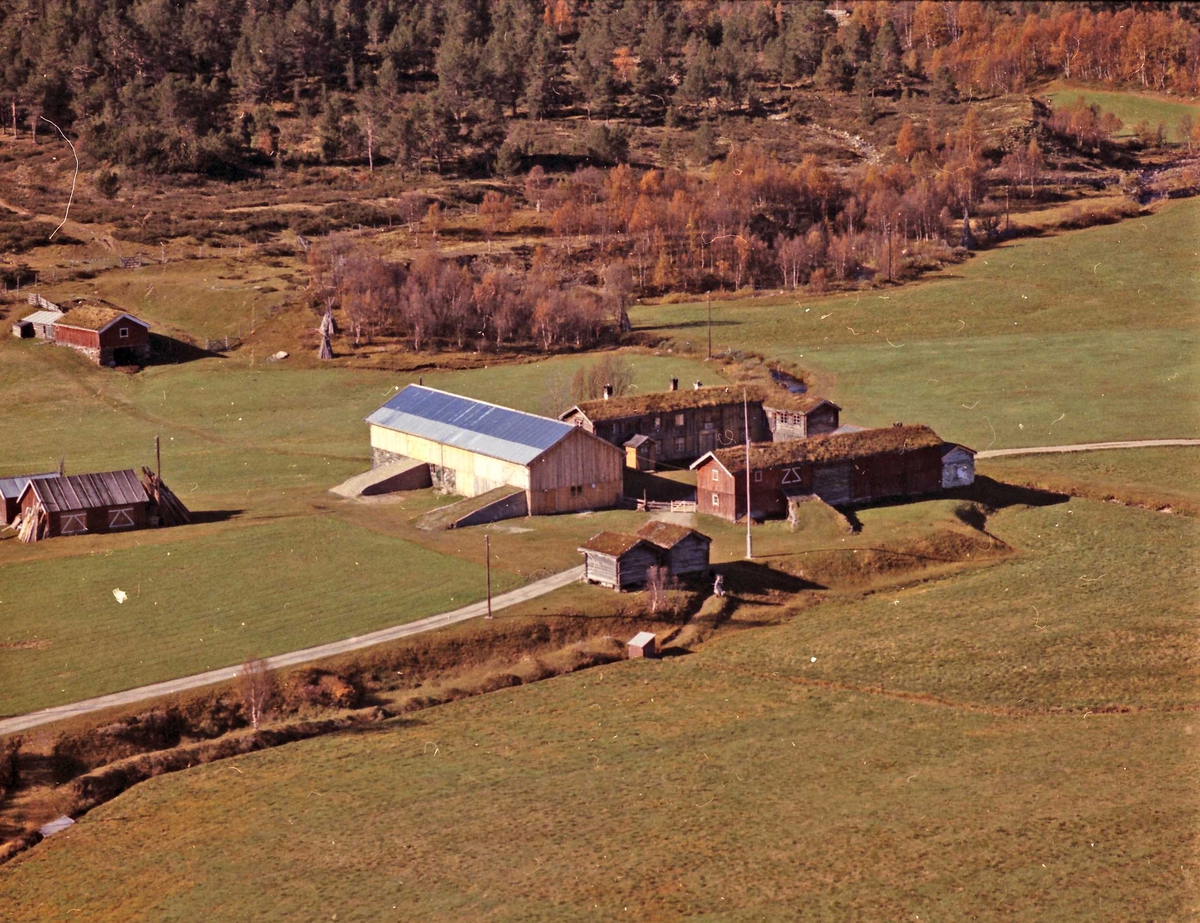 Widerøes Flyveselskap A/S, Gårdsbruk.