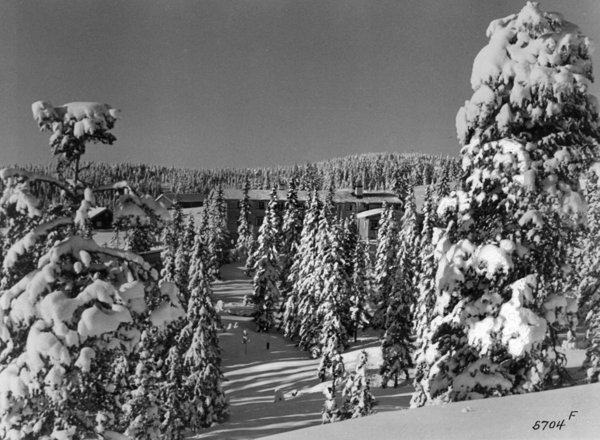 Anders Beer Wilse, Lovliseter, Nordmarka, Vinter, Sno