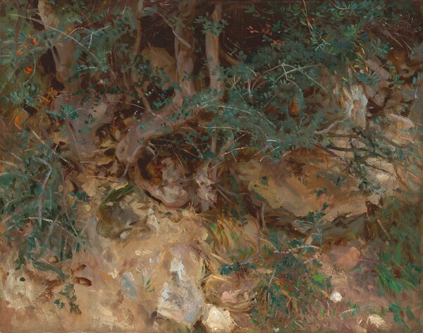 John Singer Sargent, Wild Olive Tree Roots, Valldemosa, Majorca