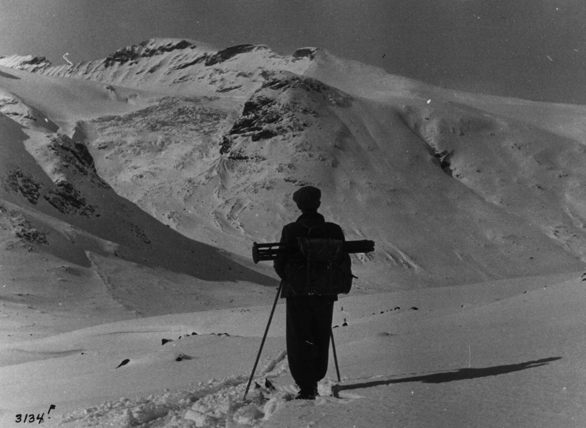 Anders Beer Wilse, Skiløpere ved Galdhøpiggen i Jotunheimen med snødekte fjell og sol.