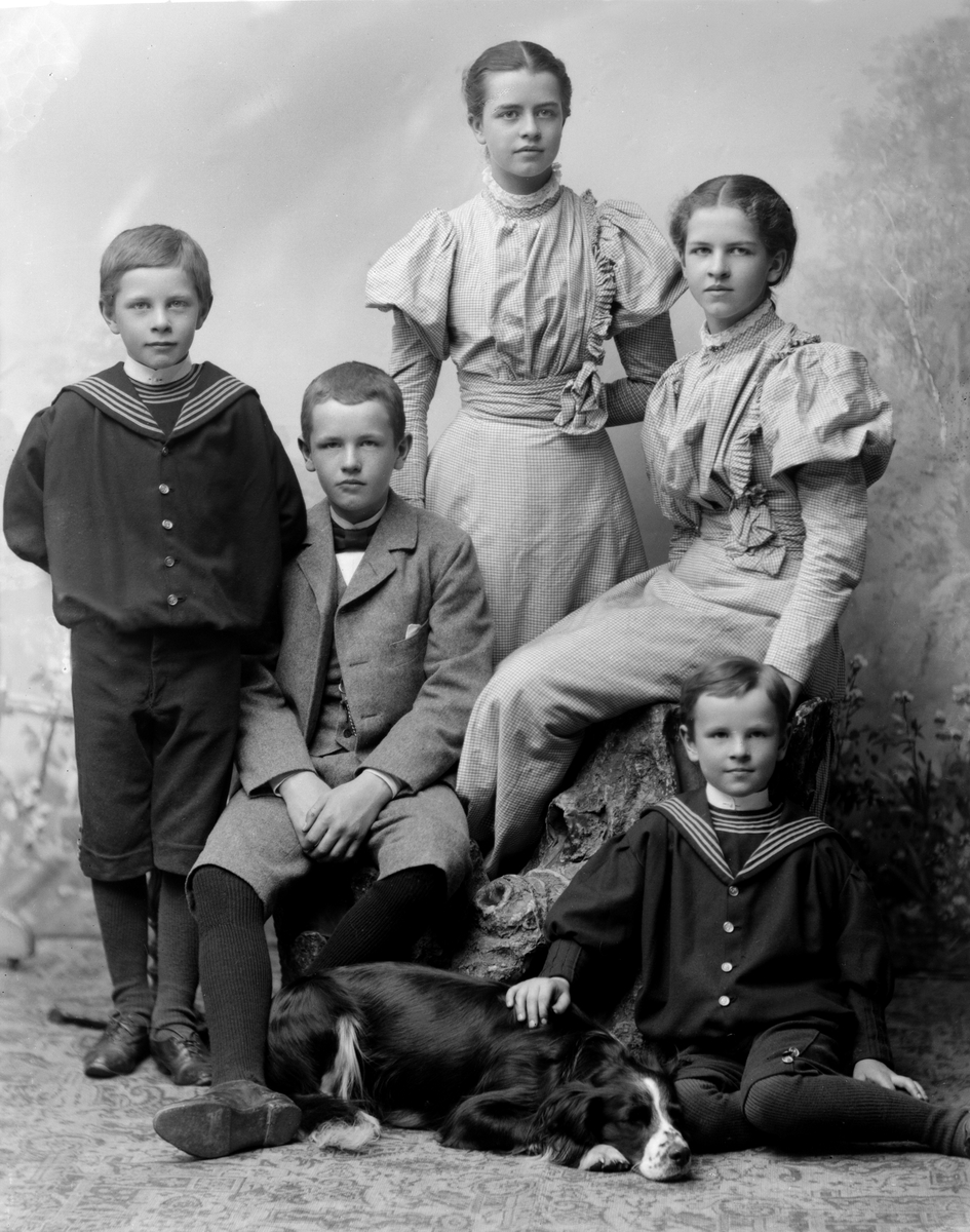 Maria Tesch, Porträttfotografi föreställande familjen Hammarsten. På bilden finns även deras hund. Personer på bilden: Elsa, gift Fleming. Signe, gift Jonsson, Helsingsfors. Olof Daniel, Läroverksadjunkt, Stockholm. Einar, Med lic. Harald, student vid Stockholms högskola. Fotograferad i Maria Teschs ateljé som …