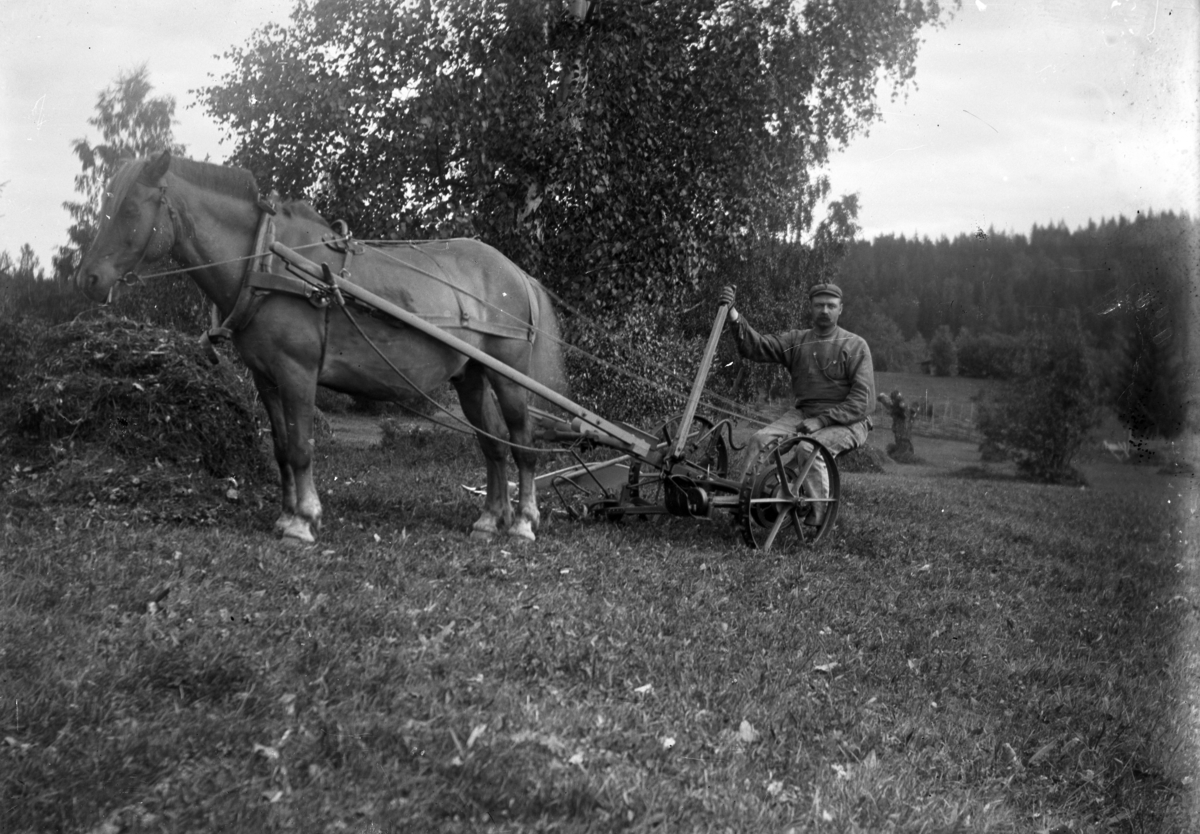 Johannes Larsen Alhaug, Slåttonn, Vikerødegården i Ringsaker. Peder L. Alhaug på en slåmaskin trukket av hest.