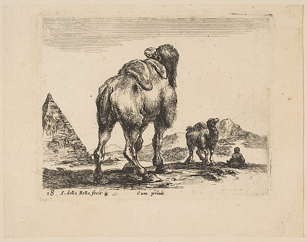 Stefano della Bella, Plate 18: camel viewed from behind with pyramid at left, from 'Various animals' (Diversi animali)