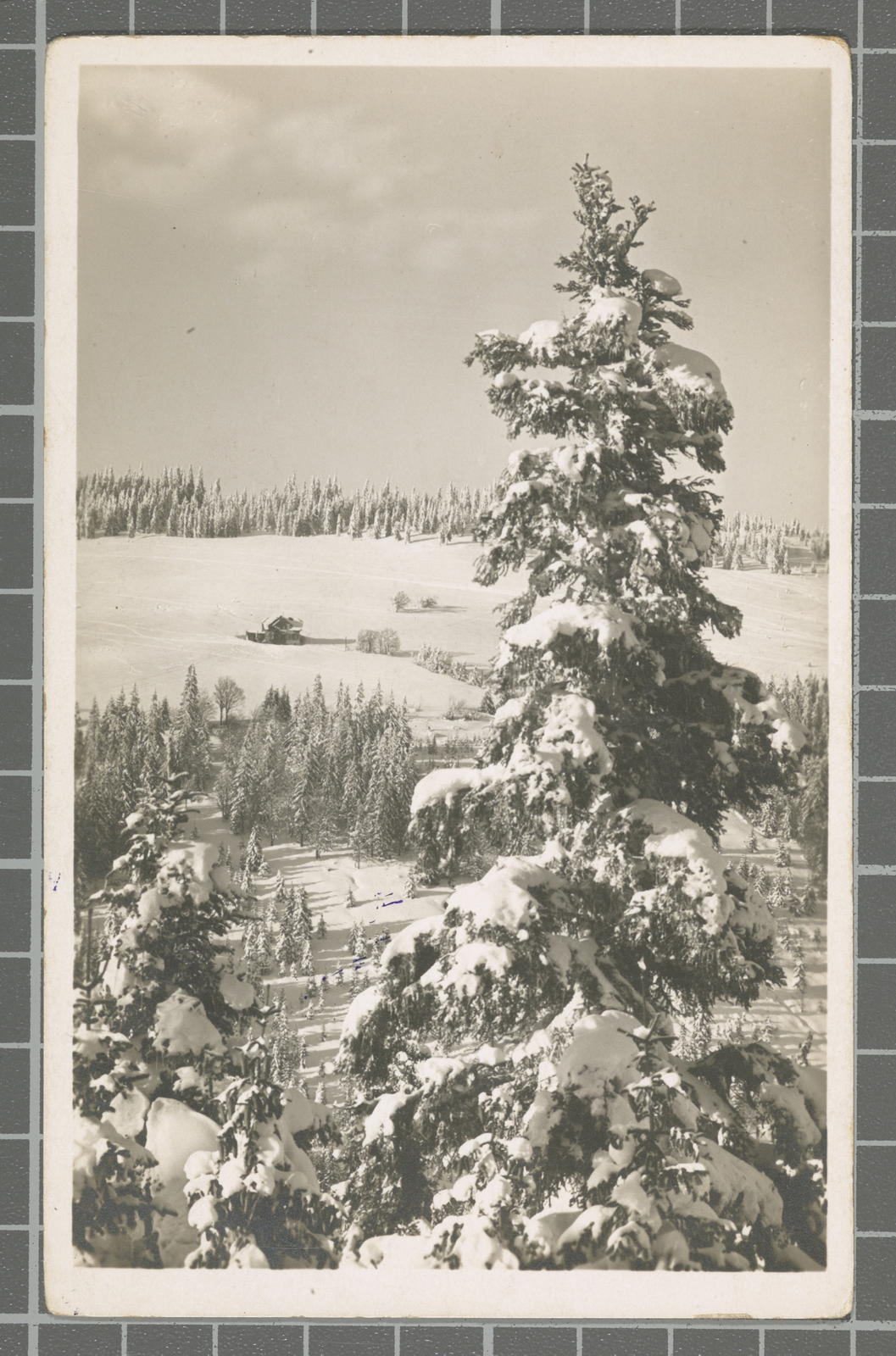 Desconegut, Feldberg im Schwarzwald (1500 m) Alre Menzenschwantler Hütte ¿?
