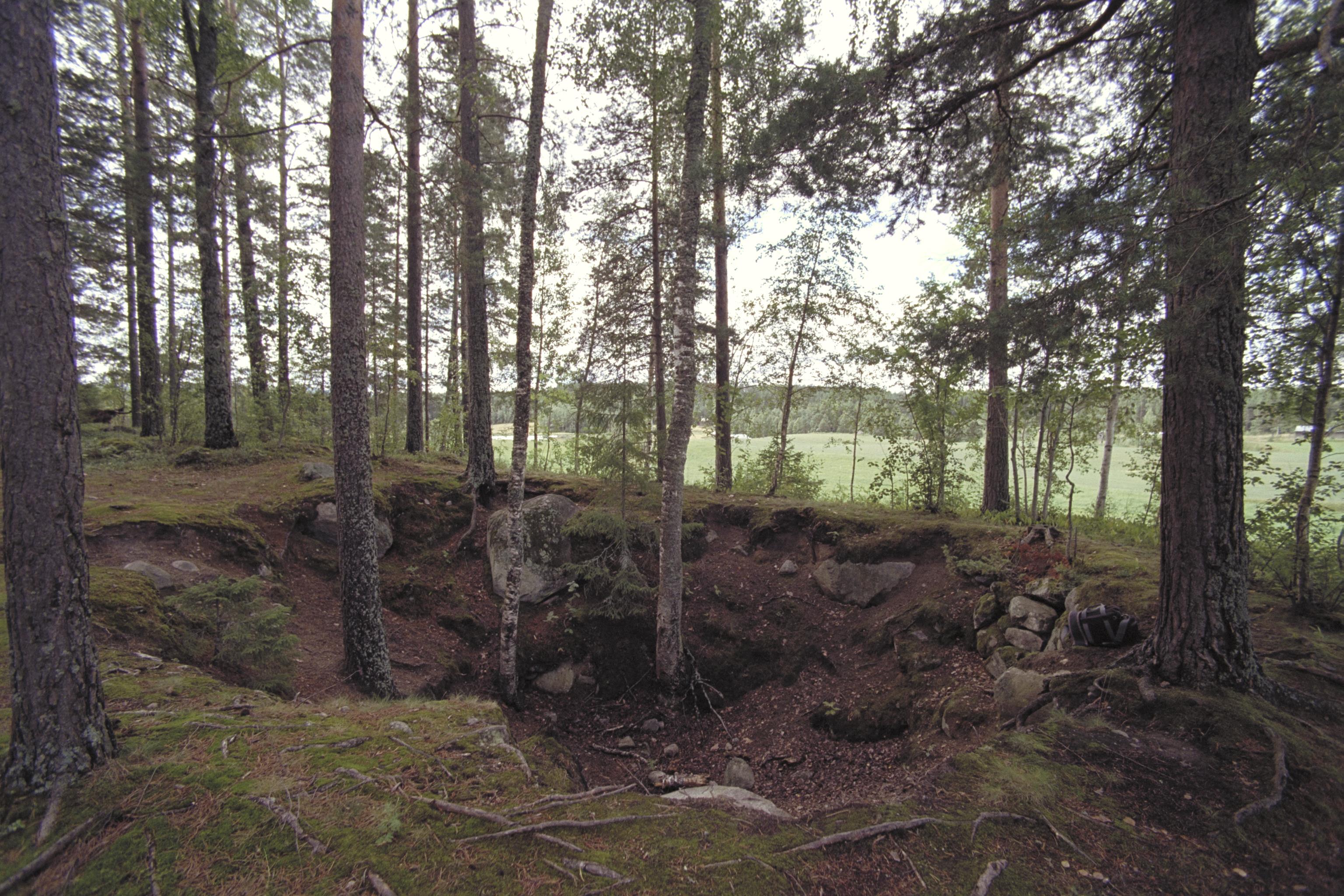 Bengt A Lundberg, Västeräng
