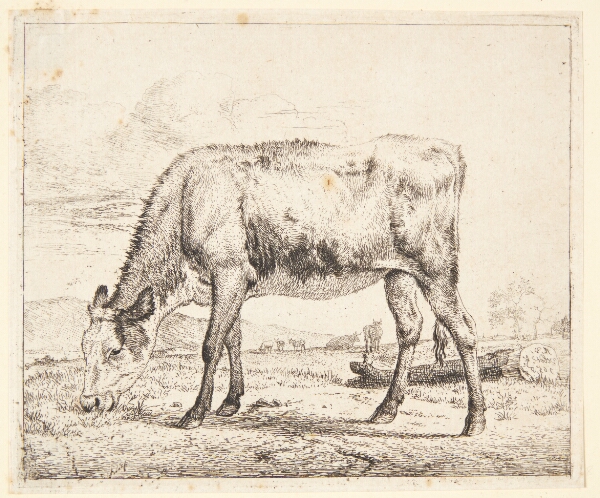 Adriaen van de Velde, Græssende kalv