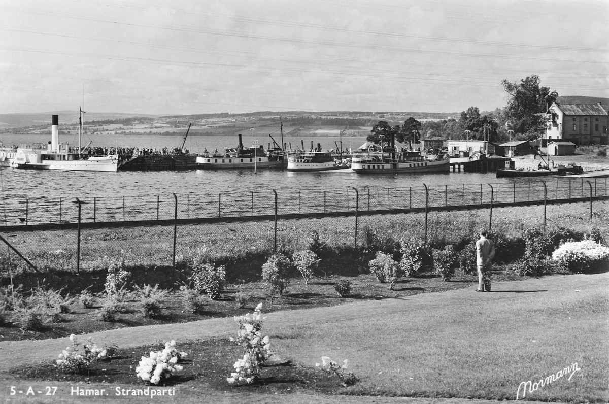 Anno Domkirkeodden, FRA STRANDGATEPARKEN MOT HAMAR BRYGGE, D. S. SKIBLADNER, D. S. SKREIA, D. S. KVIKK, D. S. HAMAR OG JAKTA FRAM. MJØSBÅTER.