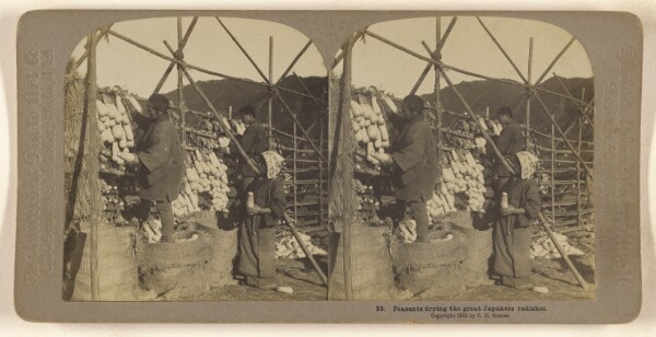 Carleton H. Graves, Peasants drying the great Japanese radishes.