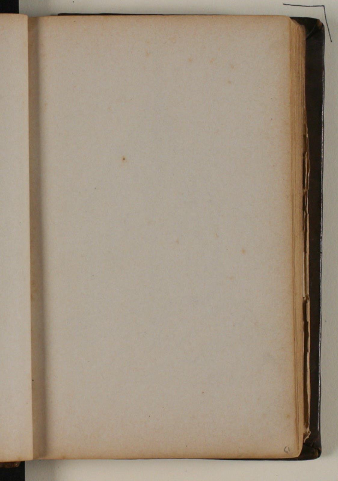 Niels Larsen Stevns, Blank