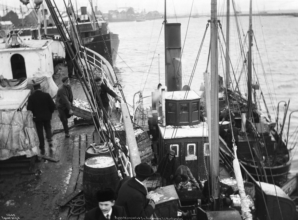 Anders Beer Wilse, Prot: Agnsild lastes ombord Hurtigruten 1910