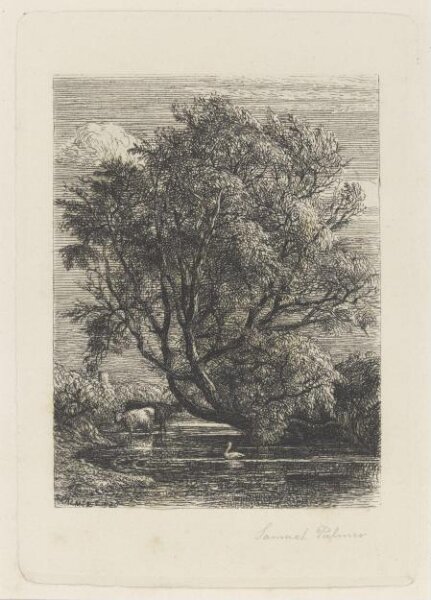 Samuel Palmer, The Willow