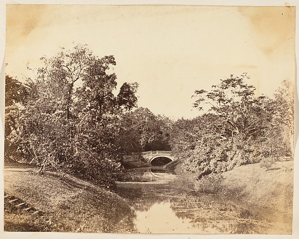 Unknown, [Botanical Gardens, Calcutta]