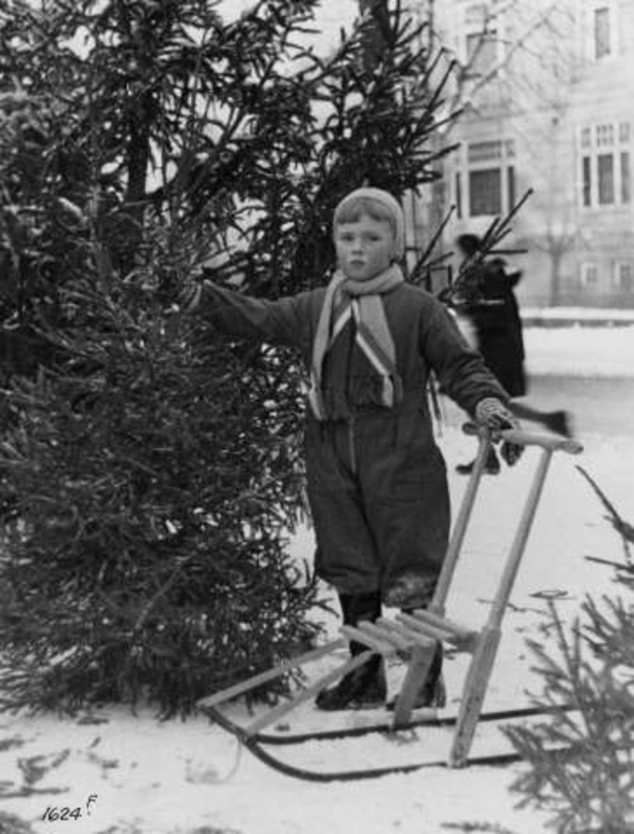Anders Beer Wilse, Jul, Oslo 1936. Barn med sparkstøtting foran juletrær