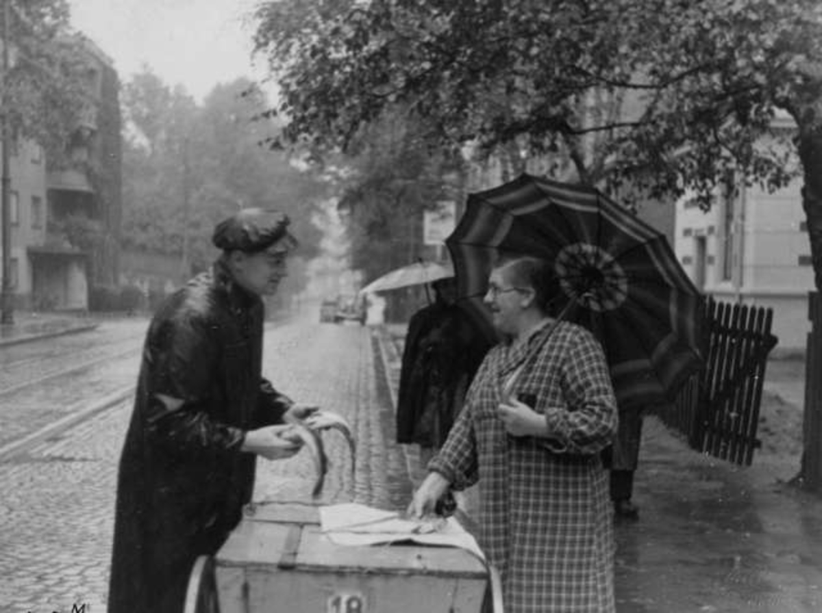 Anders Beer Wilse, Fiskesalg, Drammensveien, Oslo
