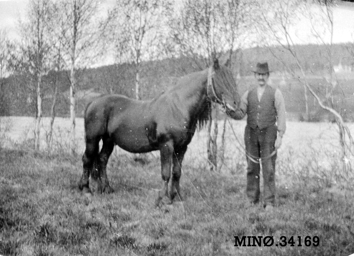 Ukjent, Halsten I. Sundmoen med hest