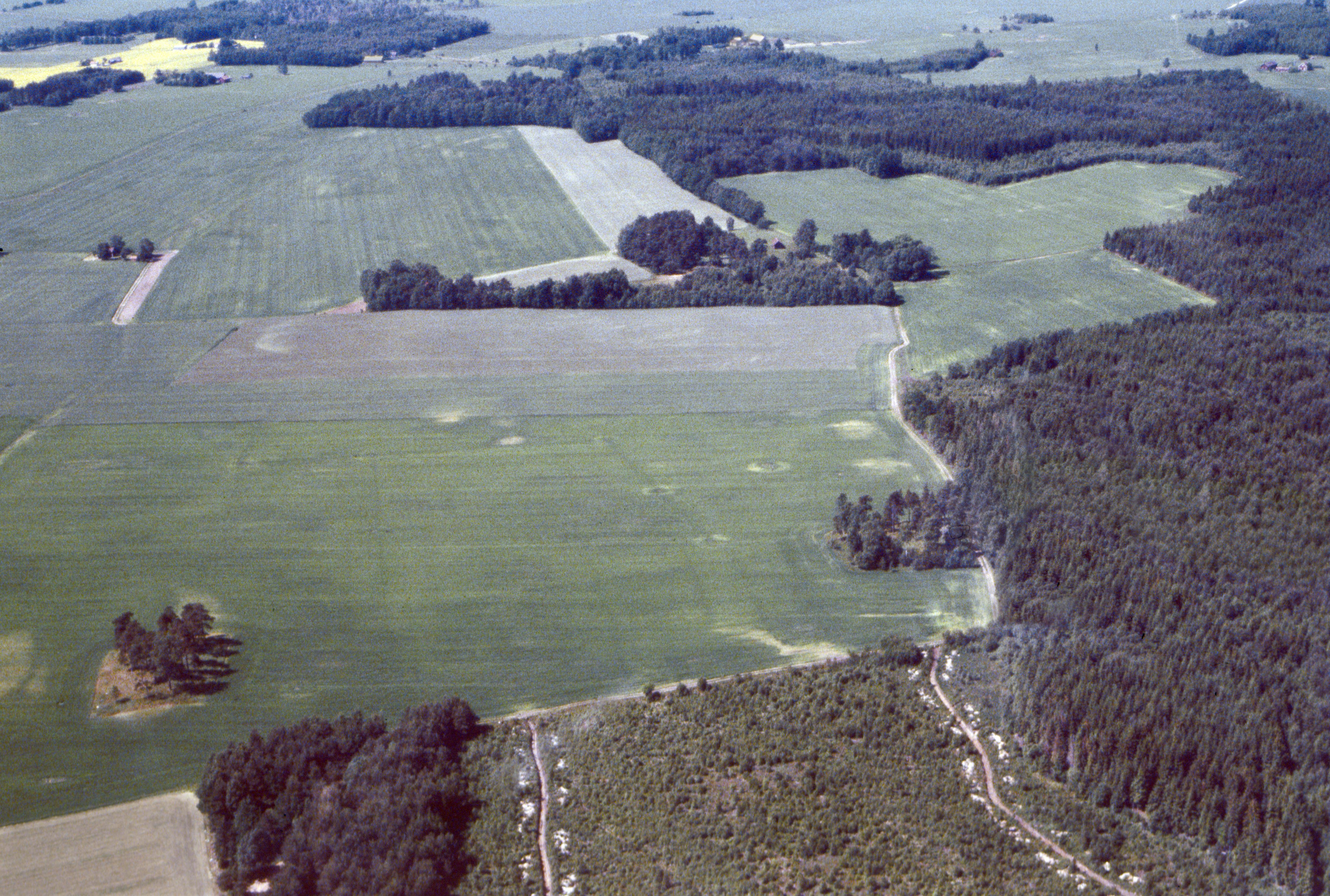 Jan Norrman, Vinköl 50:1